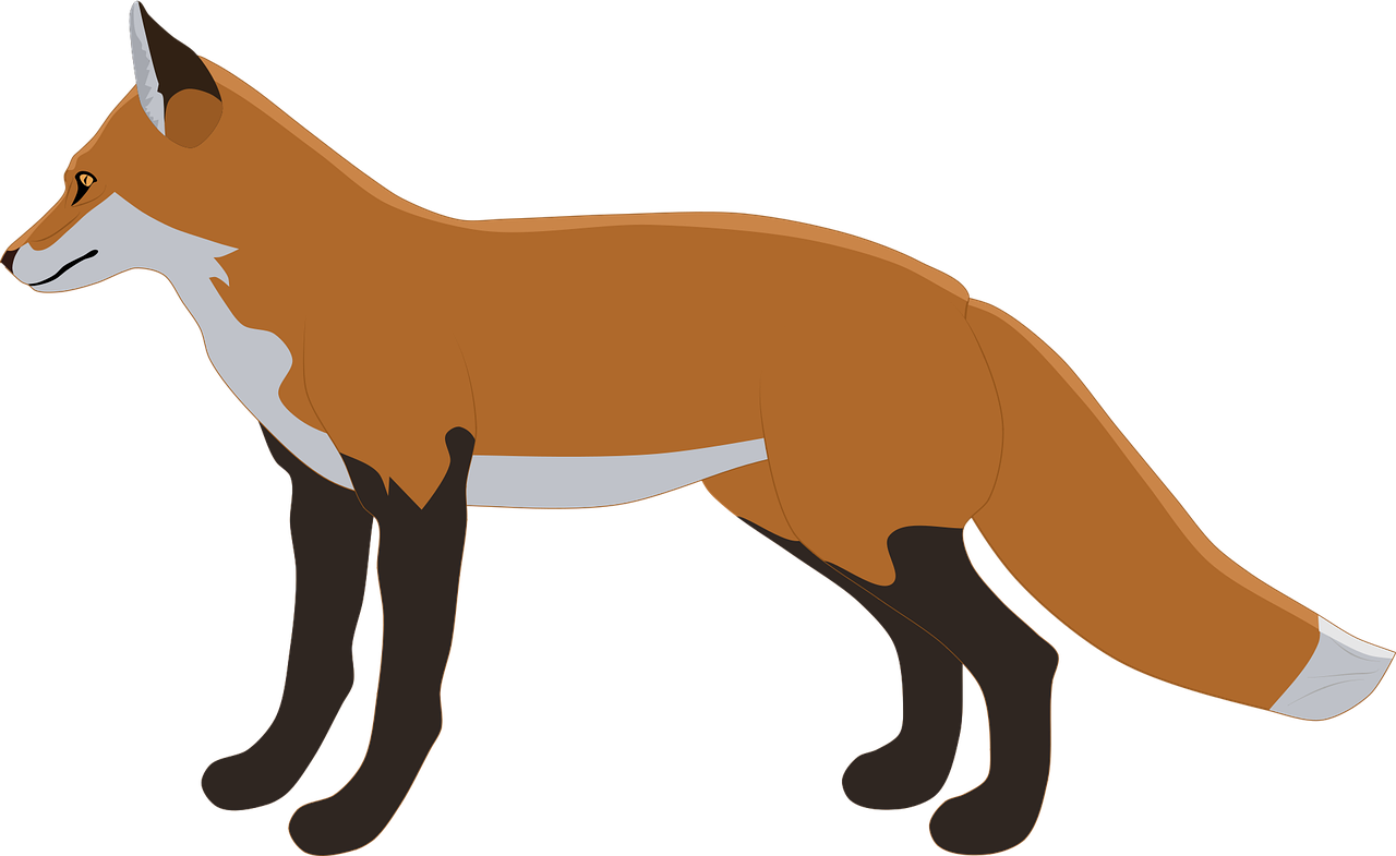 An image of a fox