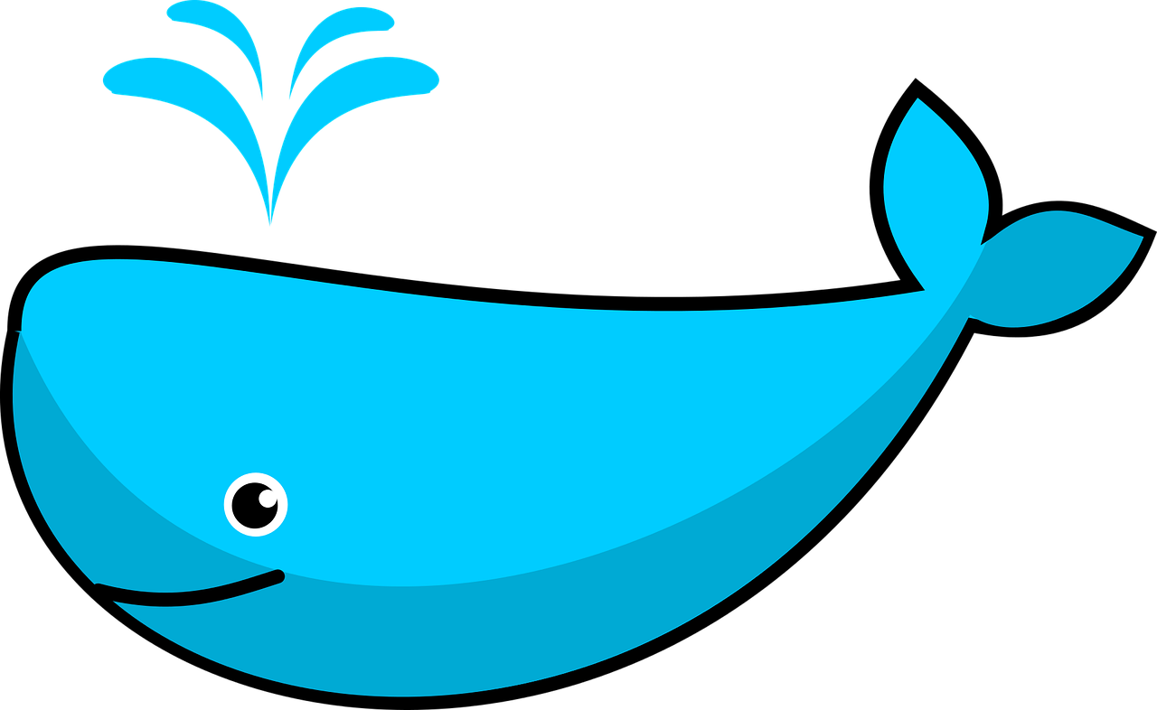 Whale